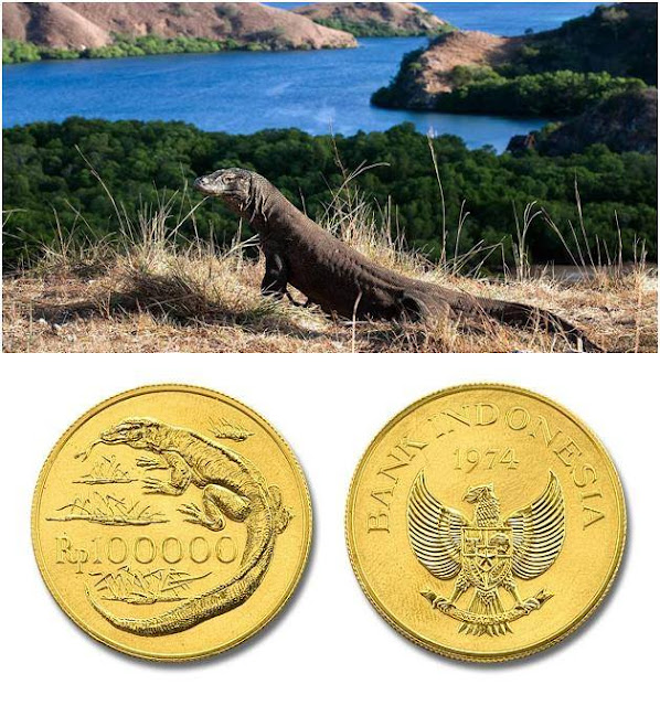 hewan komodo hewan komodo