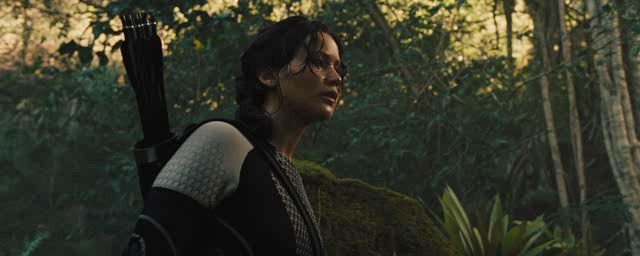 Cap4.jpg