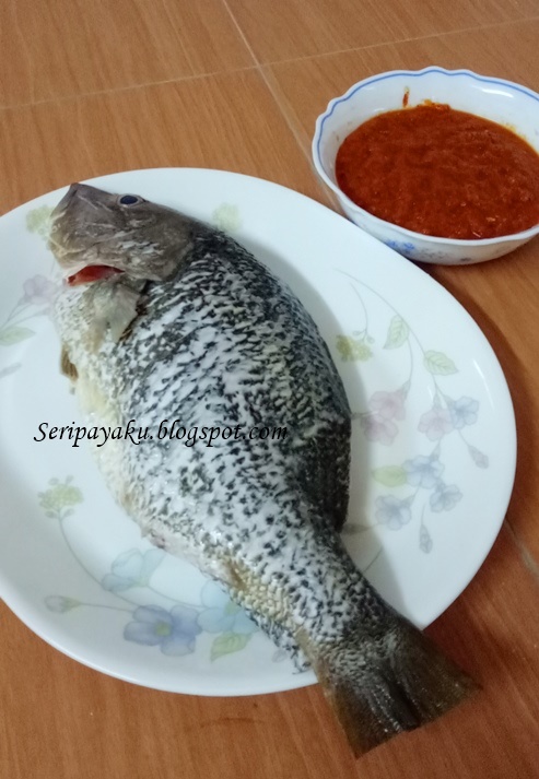 My Kuali Ikan Jenahak Bakar Sedap