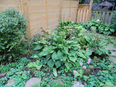 Riverdale Backyard Fall Cleanup Before by Paul Jung Gardening Services--a Toronto Organic Gardening Company Riverdale Backyard Fall Cleanup Before by Paul Jung Gardening Services--a Toronto Organic Gardening Company