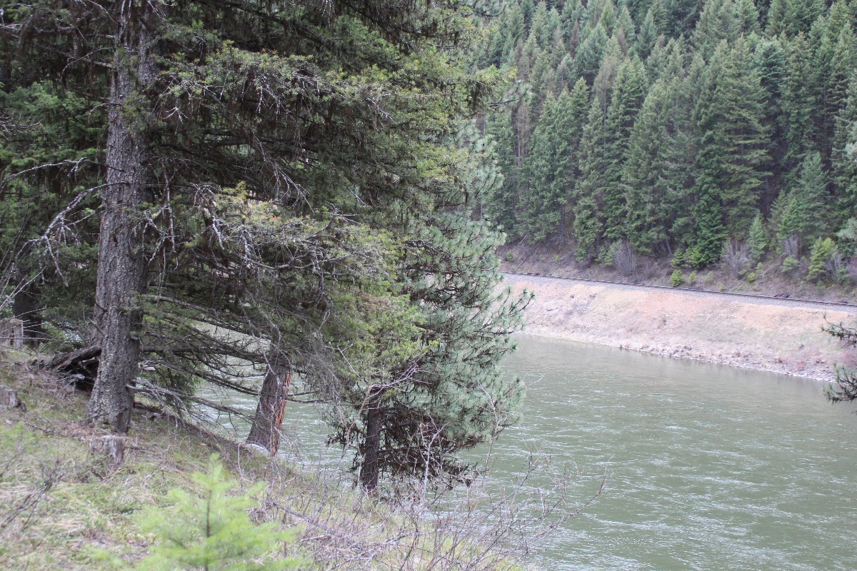 Northwest National Real Estate A Collection Of Real Estate Brokerages