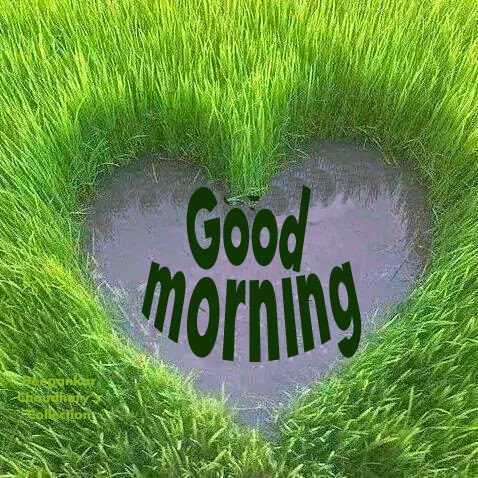 Anondo Chhobi: Good morning green
