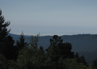 VIew of Monterey Bay in the distance