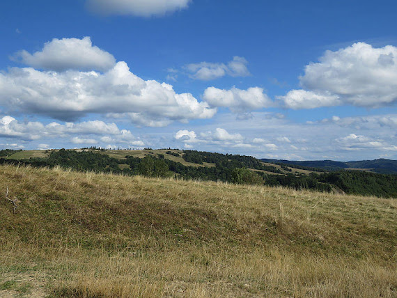 Widok na Beskid Wierch.