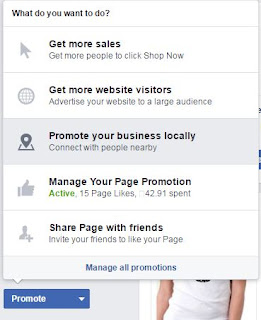 Facebook Promote Ads