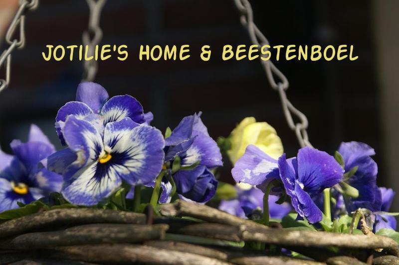 Jotilie's Home & Beestenboel