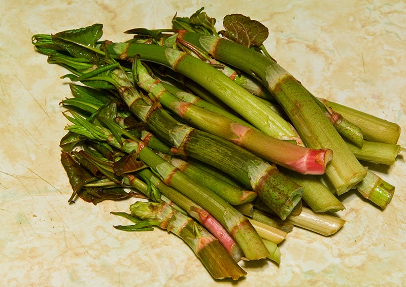 The 3 Foragers Foraging for Wild, Natural, Organic Food Japanese