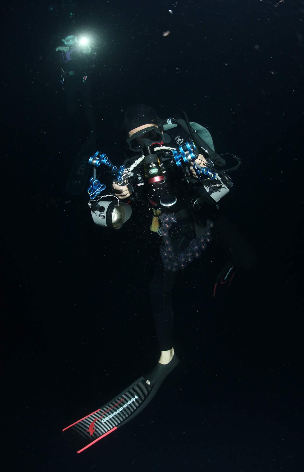 Blackwater Diving in Anilao with Squires Bingham Sports PaparazSea