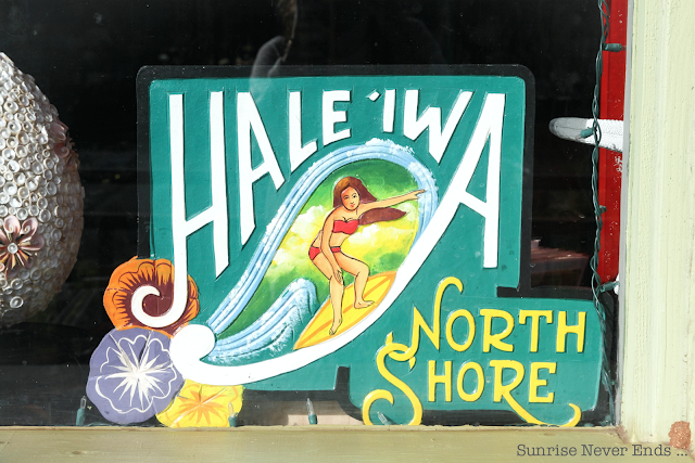 haleiwa,oahu,hawaii,north shore,city guide,visite privée,beach life