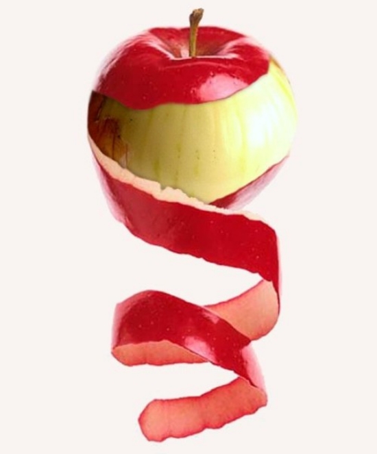 Creative Fruits - Amazing Photos...