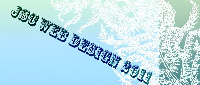 JSC Web Design 2011
