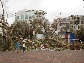 damage from Typhoon Hato at the Bay Bar Street in Zhuhai