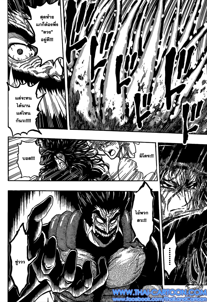 Toriko 386 TH