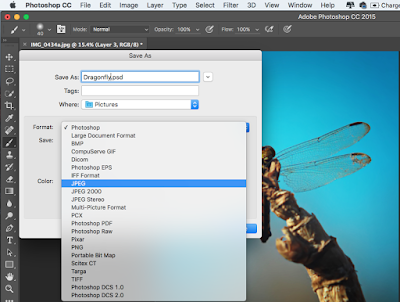 file format file format