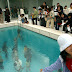 Berendam Dalam Kolam Tapi Tak Basah!