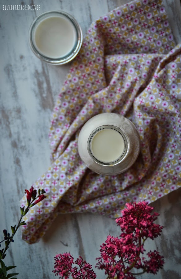 LECHE CASERA DE ANACARDOS Y SÉSAMO