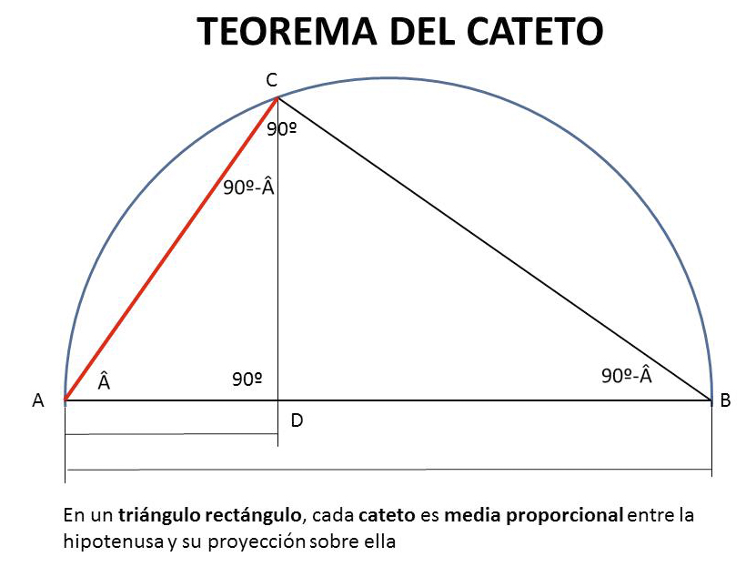 PLÁSTICA DE PLÁSTICO: DTI: UD3.PROPORCIONALIDAD, IGUALDAD, SEMEJANZA ... PLÁSTICA DE PLÁSTICO: DTI: UD3.PROPORCIONALIDAD, IGUALDAD, SEMEJANZA ...