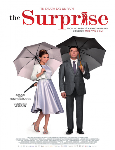Amor por sorpresa (2015)