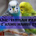 Istilah -istilah penting di Parkit , no 31 wajib kamu tahu.