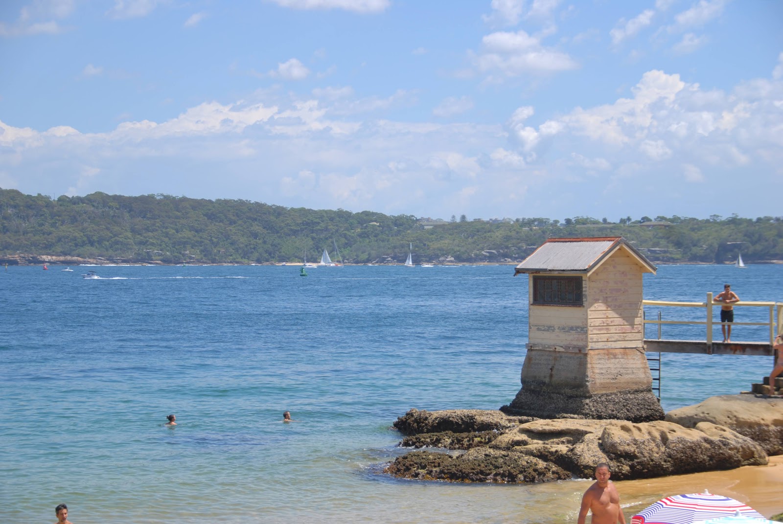 Woody at Home Lady Bay Beach Watsons Bay Woody at Home Lady Bay Beach Watsons Bay