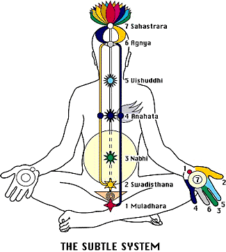 System of the 7 Chakras