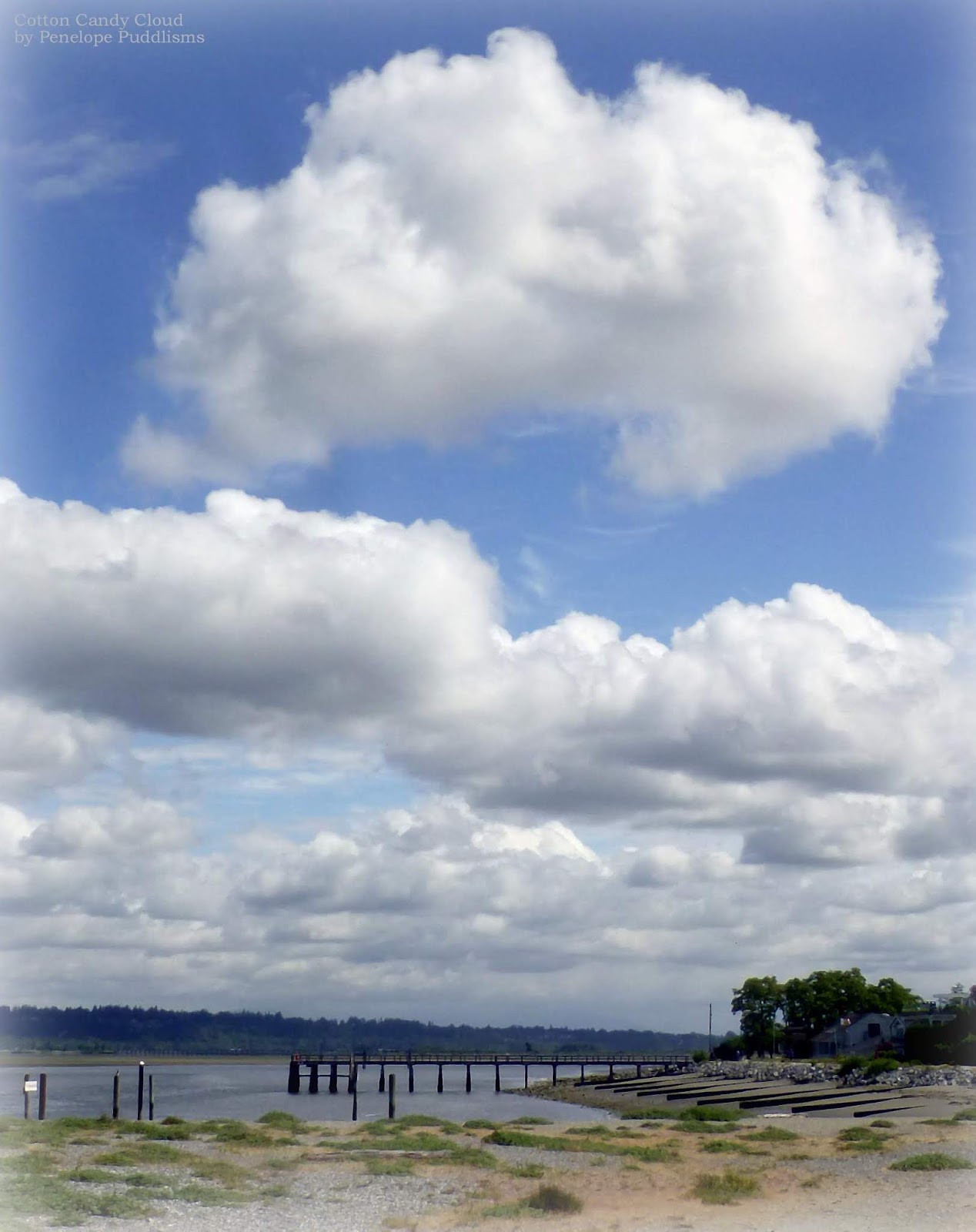 Postcards From Penelope Puddle Cotton Candy Cloud