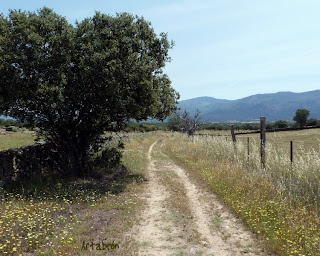 Camino hacia Aldeanueva por el Valle de Ambroz