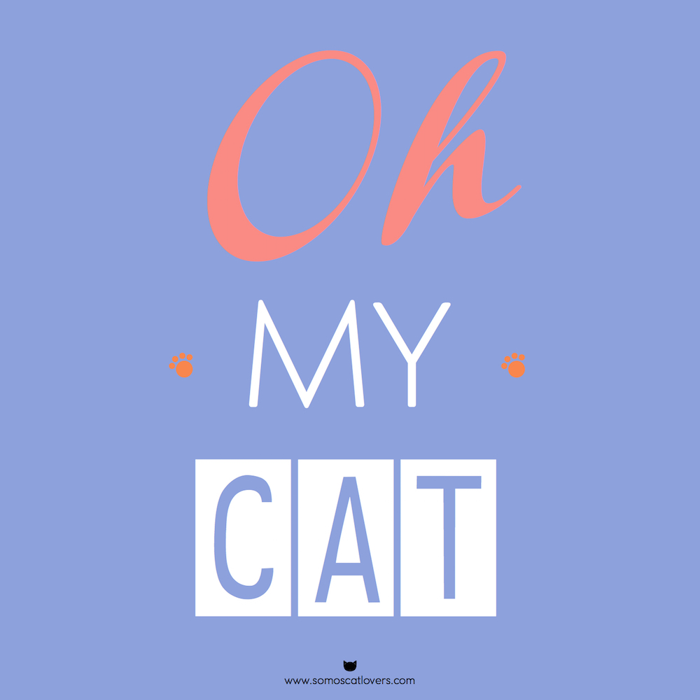Ilustraciones cat lover gatos
