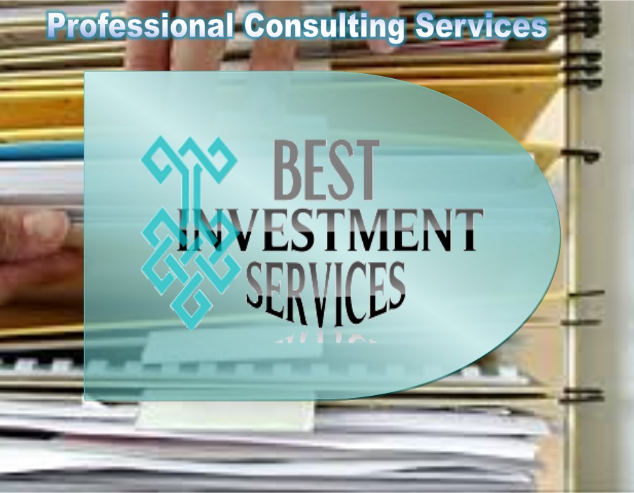Best Investments Services Inc Best Investments Services Inc, History