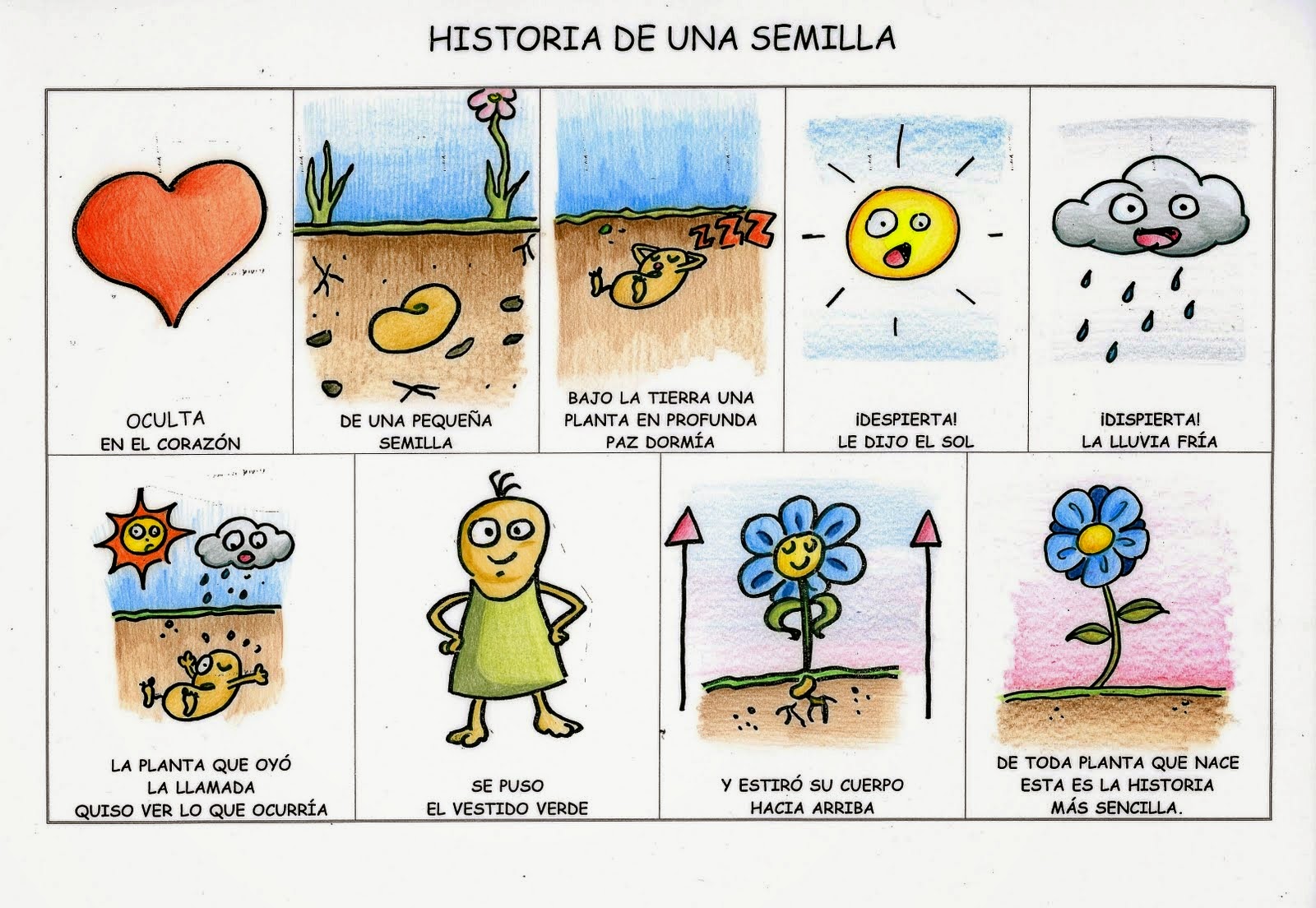 ECOESCUELA ANDALUCÍA ACTIVIDADES Y VÍDEOS SOBRE LA SEMILLA PARA INFANTIL