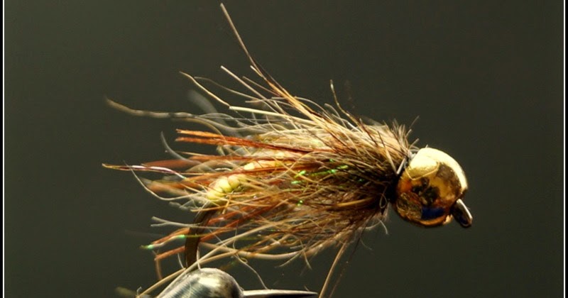 Irish fly fishing passion: Hydropsychidae Pupa-nymph