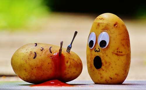 latest funny images 2018 latest funny images 2018