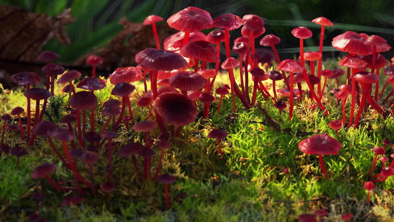 Creating A Realistic Moss Plant With Megascans in Redshift CG TUTORIAL