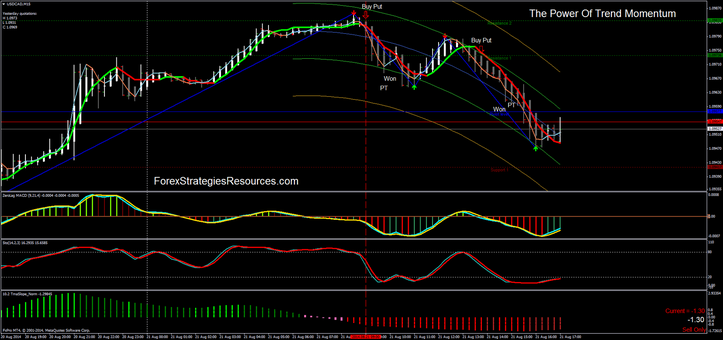 Hotshot forex