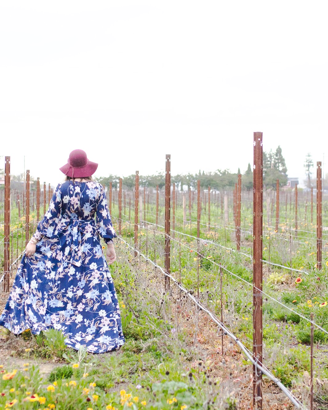 How To Pack for Napa In Only a Carry On (even if it rains!) Olive and