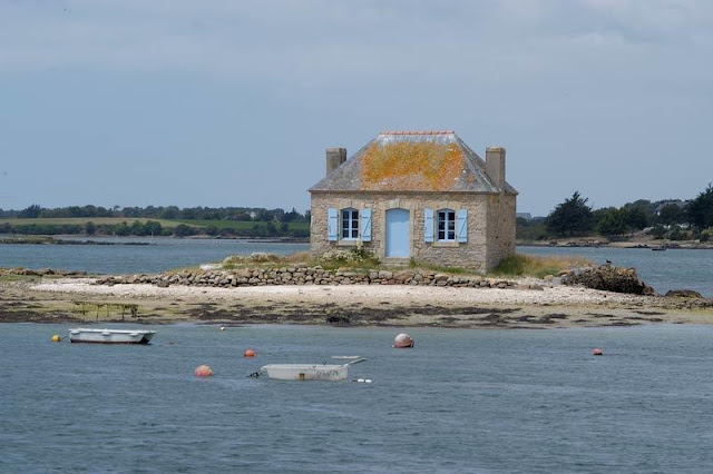 st cado quatrinaime