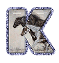 Alfabeto Realista De Caballos Con Letras Con Glitter Animado Oh My K