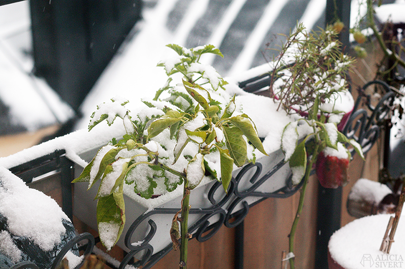 Winter balcony, photo by Alicia Sivertsson.
