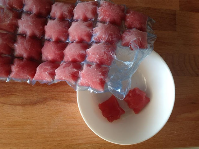 Como Congelar Tomate em Sacos de Cubos de Gelo
