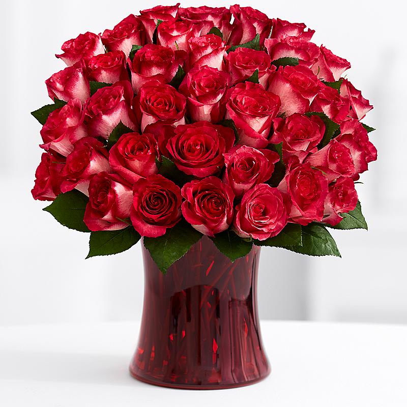 Pink Rose Symbolism Of Rose