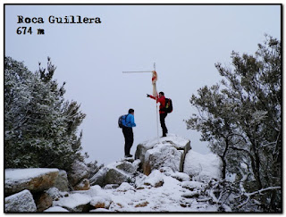Siguenos en Facebook