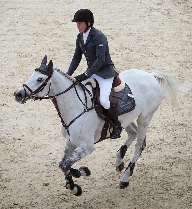 Show Ring Ready Unusual Tack The Bib Martingale