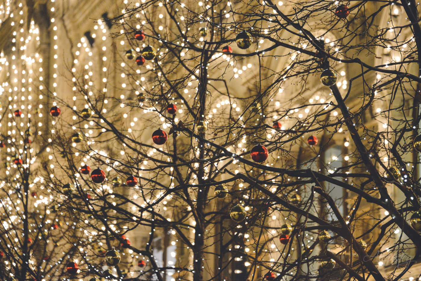 Trees decorated with Christmas balls