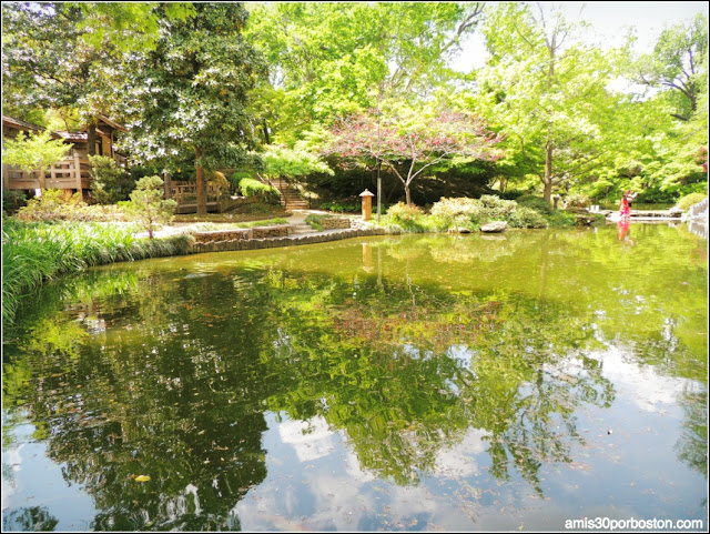 Lagos del Fort Worth Japanese Garden, Texas