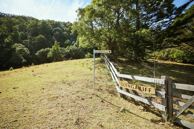 Hoddles Track Bushwalk Kiama