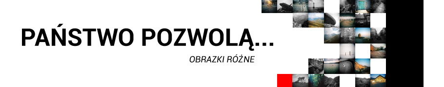 państwo pozwolą...