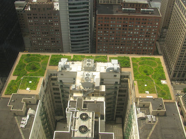 Green Roofing New York