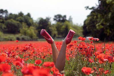 Amor y libertad miedo a perder la libertad por culpa del amor