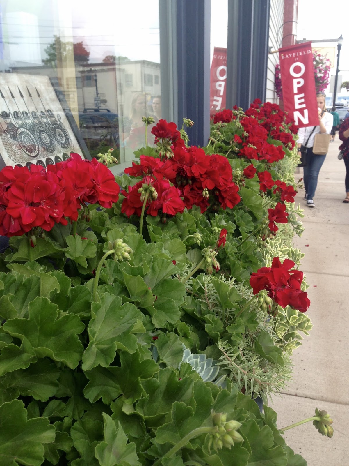 Amy's Creative Pursuits: The Flowers and Gardens of Bayfield
