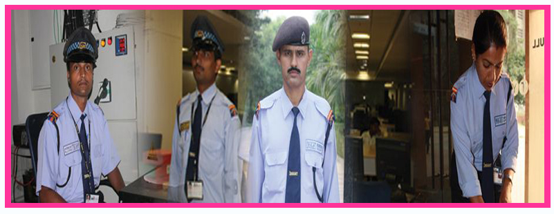 Perfect Professional Services